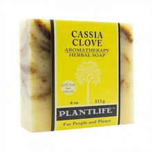 Cassia Clove Bar Soap by Plantlife