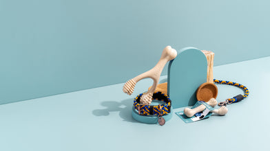 100% Fairtrade Recycled Ocean Bound Plastic Dog Collar by BetterBone / Buddify