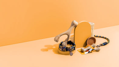 100% Fairtrade Recycled Ocean Bound Plastic Dog Collar by BetterBone / Buddify