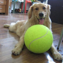 Jumbo Tennis Ball For Pets by Threaded Pear / Buddify