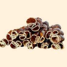 Braided Gullet Sticks for Dogs by Tiger Pet Supply