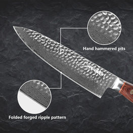 Kegani Brands 8 Inch Damascus Chef Knife 67 Layers 10Cr15CoMoV Japanese Knife Hammered Texture Damascus Knife - FullTang Wood Handle Chefs Knife With Gift Box&Sheath by Kagani Brands