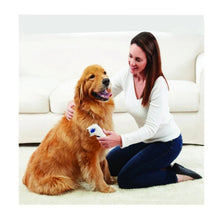 Pet Cat Dog Electric Terminator Brush Anti Removal Kill Lice Cleaner Electric Head Pet Fleas Electronic Lice Comb For Dog by fashioncafee.com