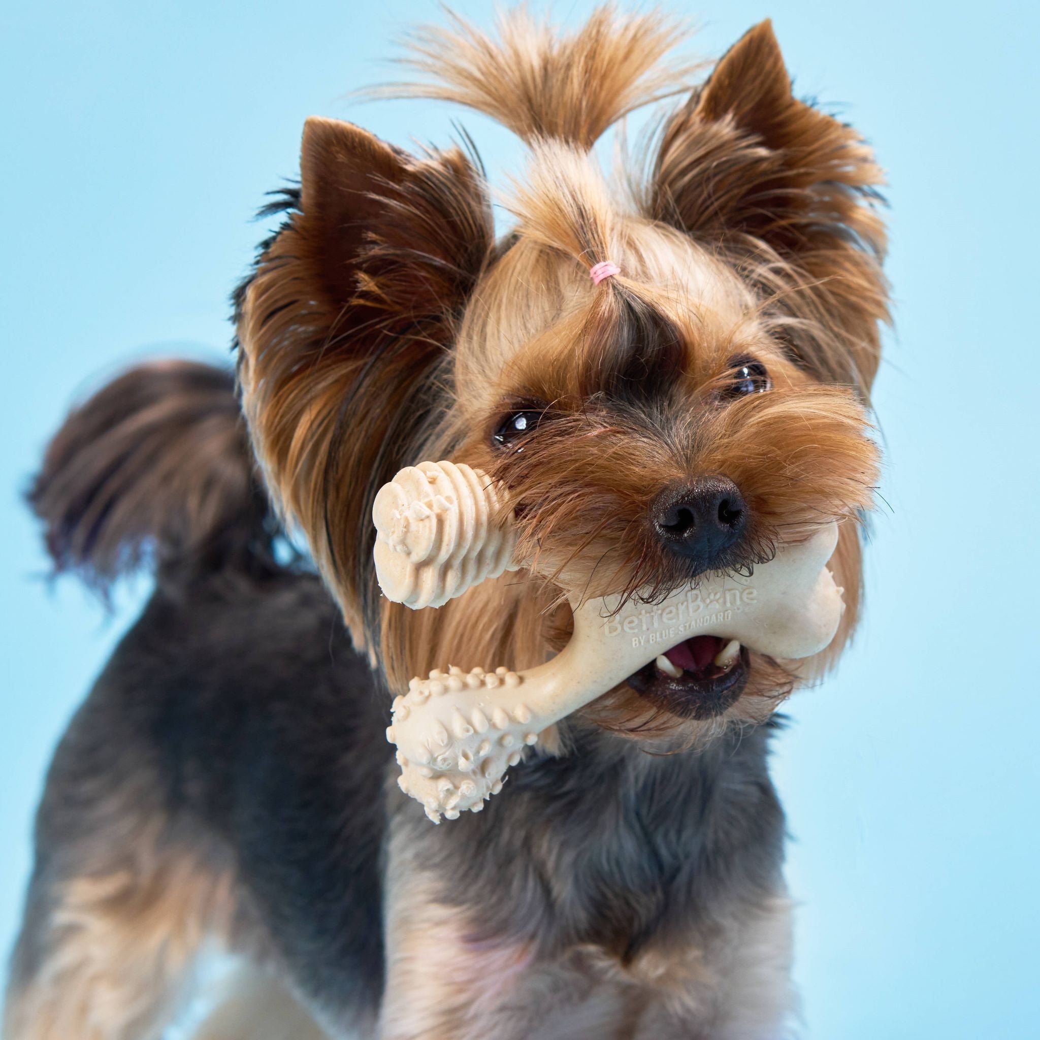 SOFT Durability CHEW TOY: Perfect Natural Chew for Teething Puppies, Senior Dogs & Gentle Chewers | Natural, Eco-Friendly, Non-Toxic by BetterBoney / Buddify