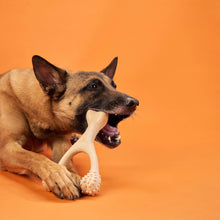 BetterBone HARD: The natural, eco-friendly, and ultra-durable chew for the toughest chewers! by BetterBone All Natural Eco-Friendly Dog Chews & Bones