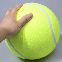 Jumbo Tennis Ball For Pets by Threaded Pear / Buddify