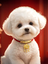 Dog Collar Dog Harness Longevity Lock Puppy Necklace Small and Medium-Sized Dogs Bandana Cat Collar Pet Cat Accessories by Zopi