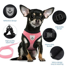 Adjustable Cat & Dog Harness with Leash - Safe & Comfy by Zopi Dropshipping