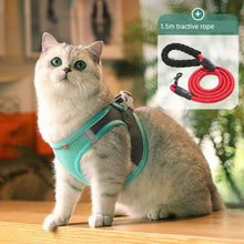 Flower Pattern Chest Strap for Dogs & Cats by Zopi Dropshipping