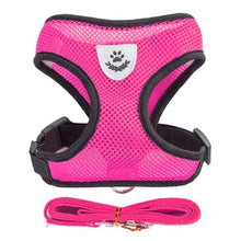 Adjustable Cat & Dog Harness with Leash - Safe & Comfy by Zopi Dropshipping