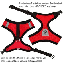 Adjustable Cat & Dog Harness with Leash - Safe & Comfy by Zopi Dropshipping