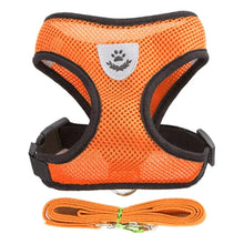 Adjustable Cat & Dog Harness with Leash - Safe & Comfy by Zopi Dropshipping