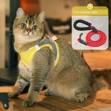 Flower Pattern Chest Strap for Dogs & Cats by Zopi Dropshipping