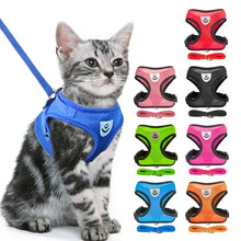 Adjustable Cat & Dog Harness with Leash - Safe & Comfy by Zopi Dropshipping