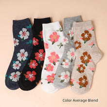 Ladieswear Socks Female Spring & Fall Cotton Mid-Calf Length Socks Fall and Winter Middle-Aged and Elderly Grandma Socks Loose Mouth Pure Color All Year Round Long Tube Women's Socks by fashioncafee.com