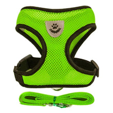 Adjustable Cat & Dog Harness with Leash - Safe & Comfy by Zopi Dropshipping