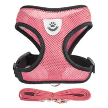 Adjustable Cat & Dog Harness with Leash - Safe & Comfy by Zopi Dropshipping