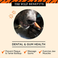 Braided Gullet Sticks for Dogs by Tiger Pet Supply