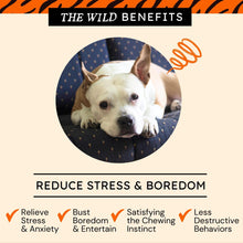 Gullet Stick Dog Treats by Tiger Pet Supply / Buddify