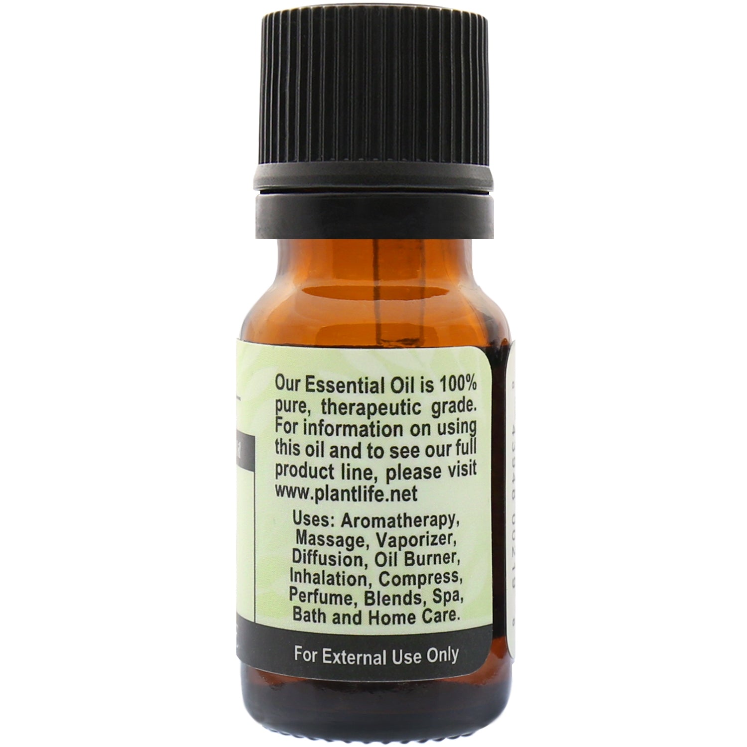 Bay Leaf Essential Oil by Plantlife / Buddify