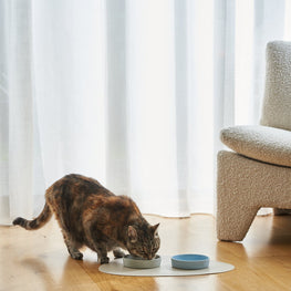 Cat Collar Sage by Lilly + Dash / Buddify