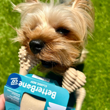 SOFT Durability CHEW TOY: Perfect Natural Chew for Teething Puppies, Senior Dogs & Gentle Chewers | Natural, Eco-Friendly, Non-Toxic by BetterBoney / Buddify