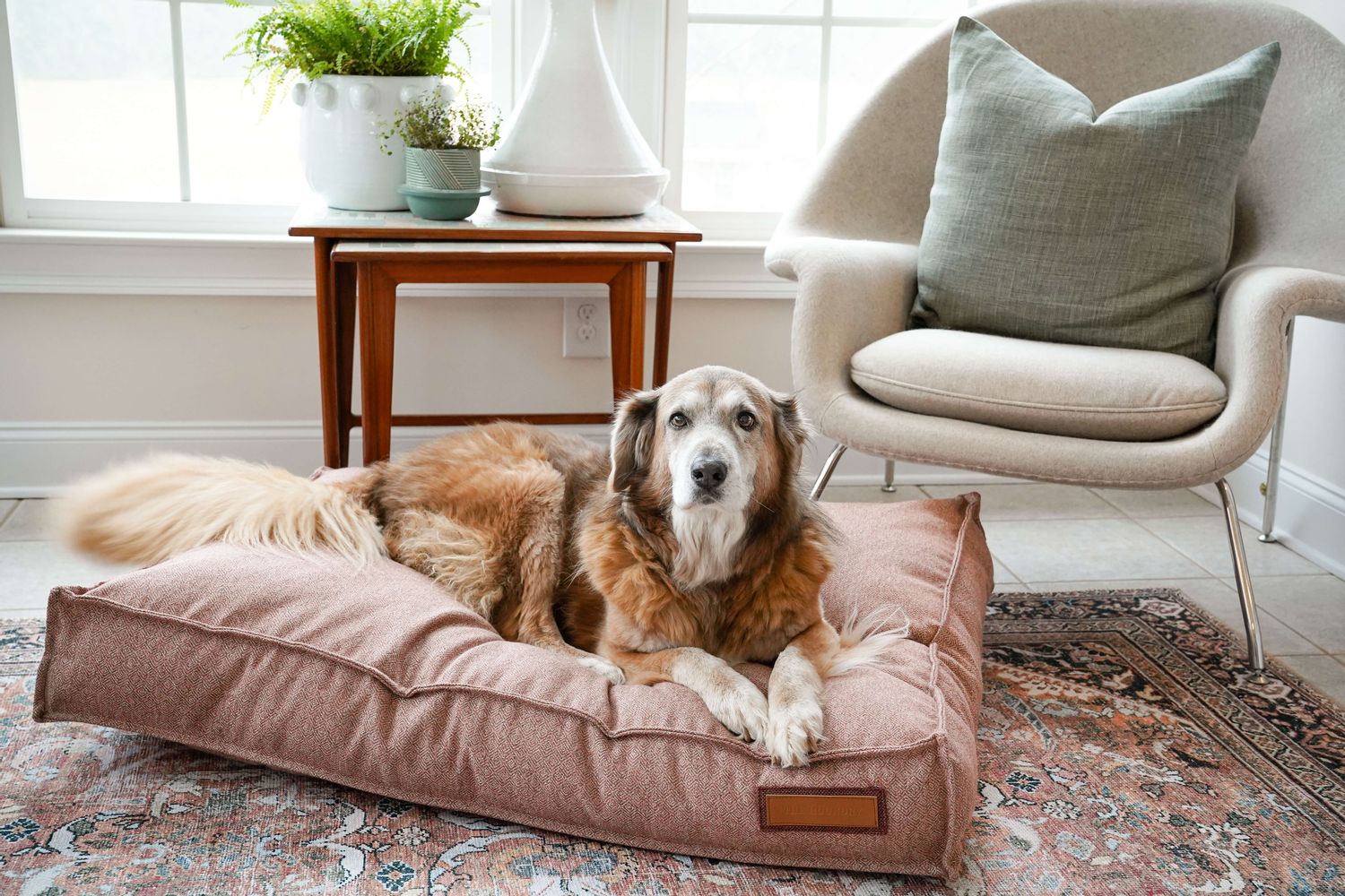 Lounger Pet Bed in Pittie Pink by The Groovalution / Buddify