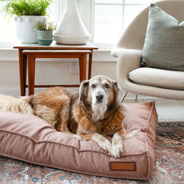 Lounger Pet Bed in Pittie Pink by The Groovalution / Buddify
