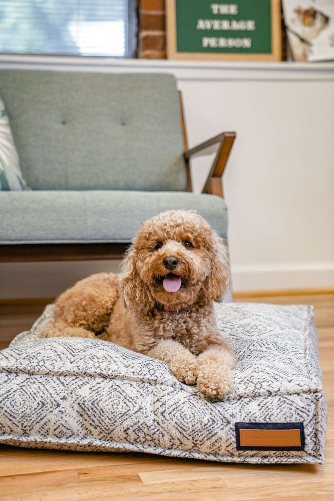 Lounger Pet Bed in Sapphire Spaniel by The Groovalution / Buddify