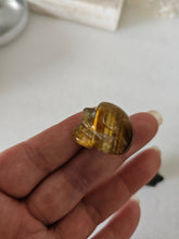 Small Crystal skull / Tiger eye / Bloodstone by Universal Fate / Buddify