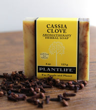 Cassia Clove Bar Soap by Plantlife