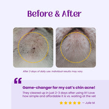 Acne Away Chin Acne Wipes for Cats by Tiger Pet Supply / Buddify