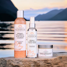 Organic 3 Step Anti-Aging Skin Care Kit - Cleanse, Tone, Hydrate by Glimmer Goddess® Organic Skin Care / Buddify