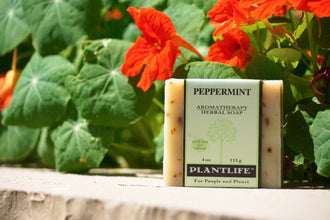 Peppermint Bar Soap by Plantlife / Buddify