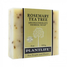 Rosemary Tea Tree by Plantlife / Buddify